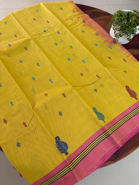 Handloom Cotton Saree