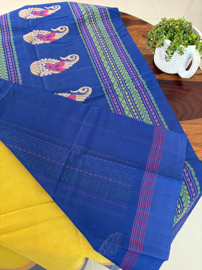 Handloom cotton saree